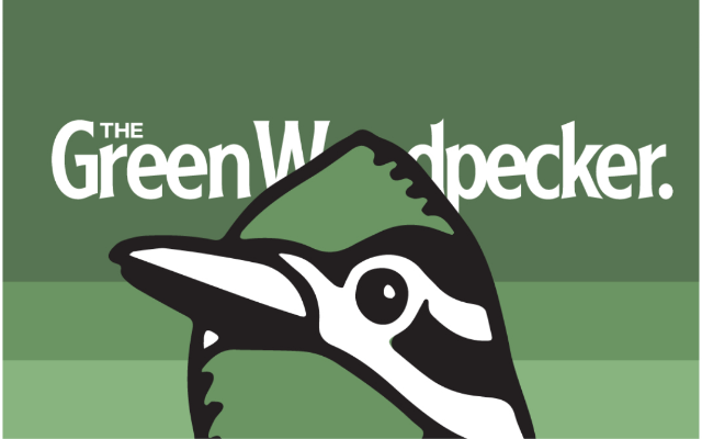 The Green Woodpecker
