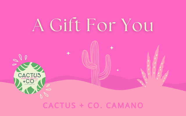 Cactus + Co. Camano Island, LLC