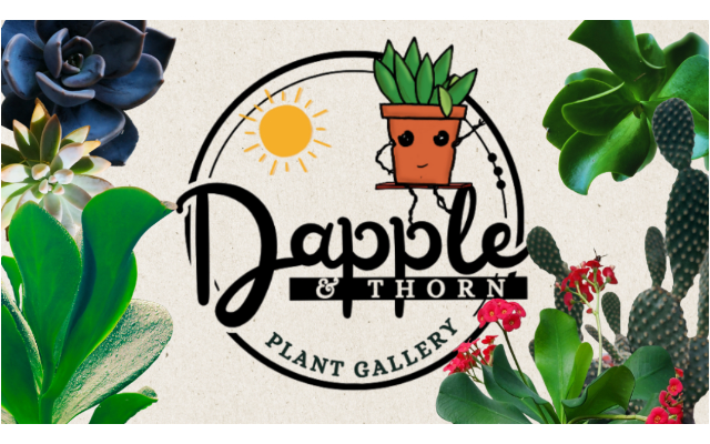 Dapple & Thorn Plant Gallery