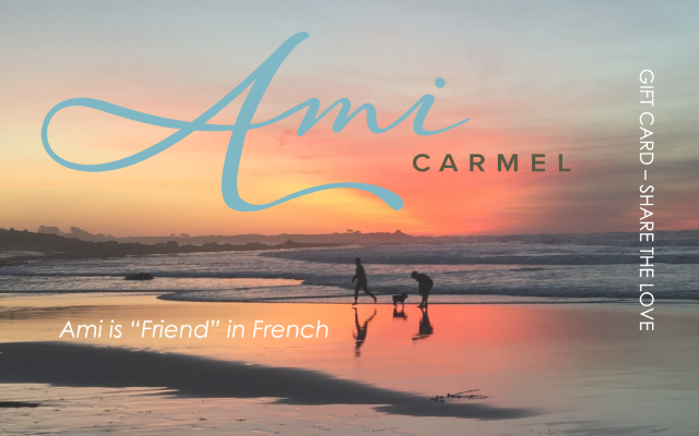 Ami Carmel