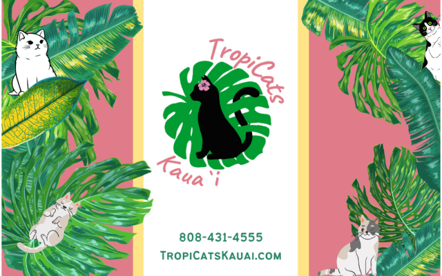 TropiCats