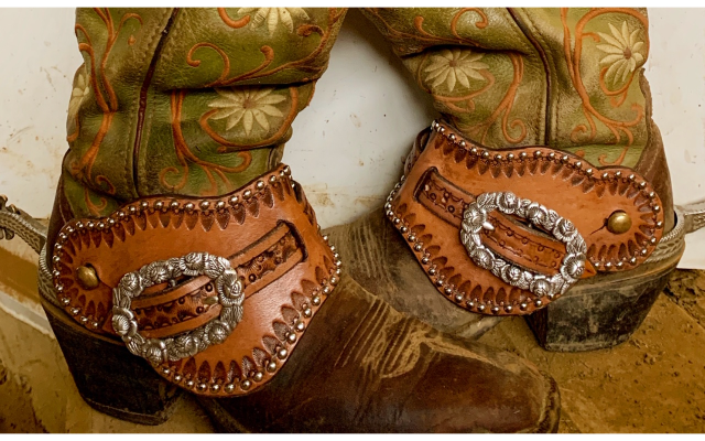 Total Equine Connection, LLC