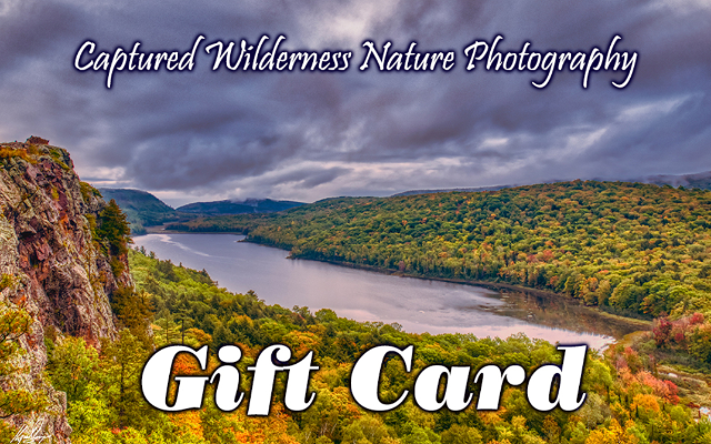 Captured Wilderness