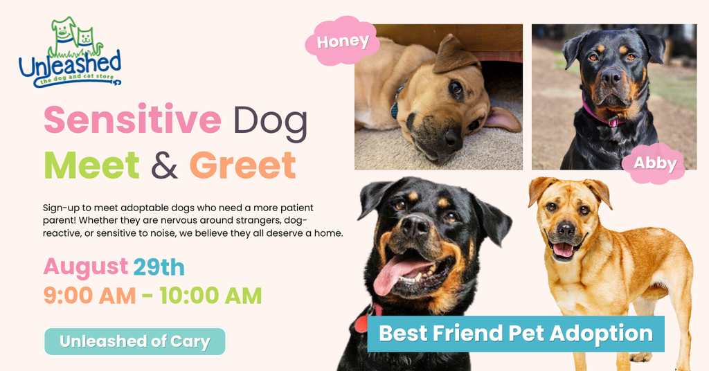 BFPA Meet and Greet with reactive dogs
