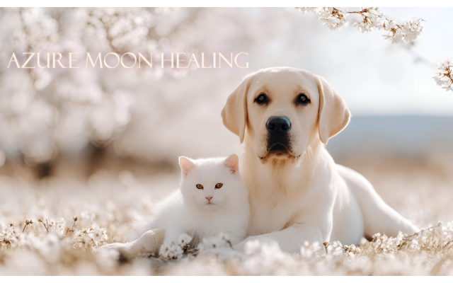 Azure Moon Healing