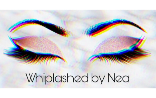 Naesthetix Artistry LLC