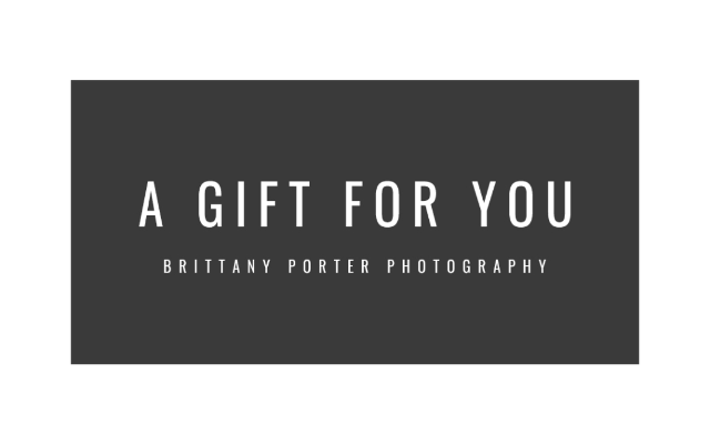 Brittany Porter Photography