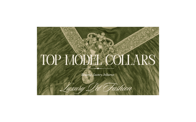 Top Model Collars