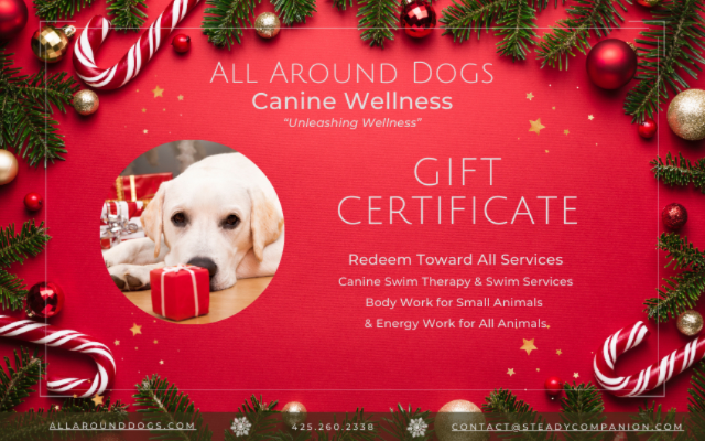 Steady Companion/All Around Dogs