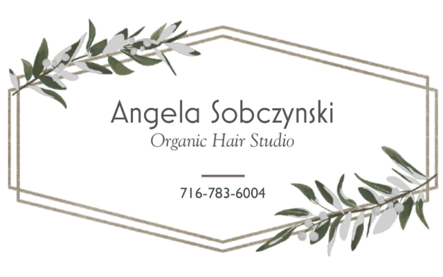 Angela Sobczynski Organic Hair Studio 2350 Maple Rd Amherst, NY 14221 Inside Sola Salon