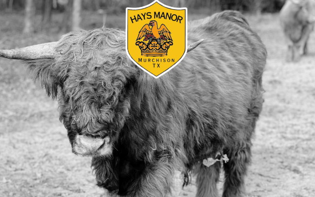 Hays Manor