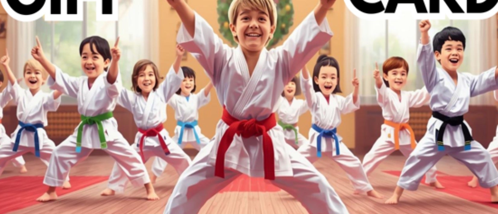 The System Martial Arts and Fitness