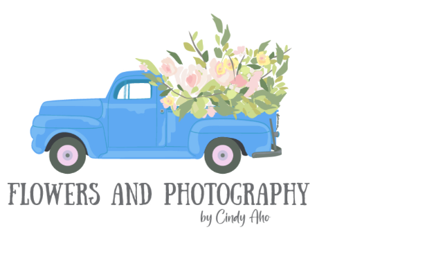 Photography By Cindy Aho