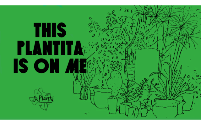 La Planta