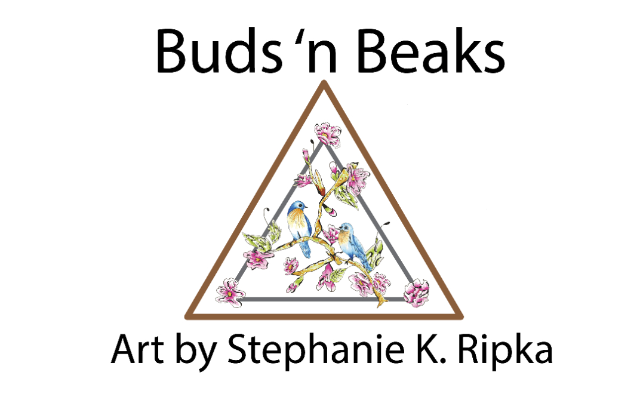 Buds 'n Beaks Art by Stephanie K. Ripka