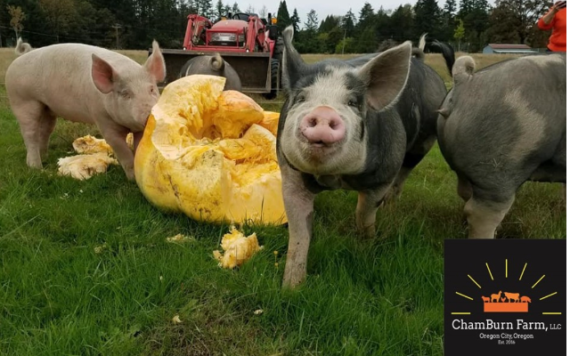 ChamBurn Farm LLC