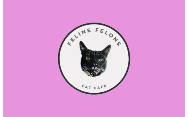 Feline Felons Cat Cafe