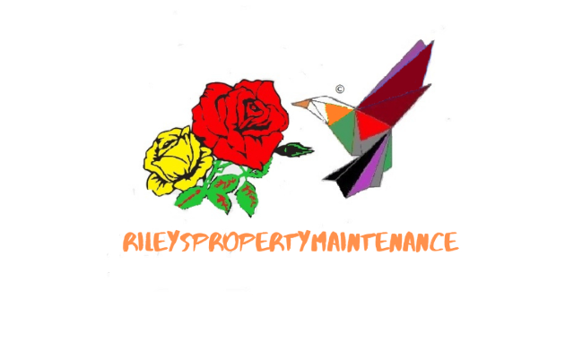 rileys property maintenance