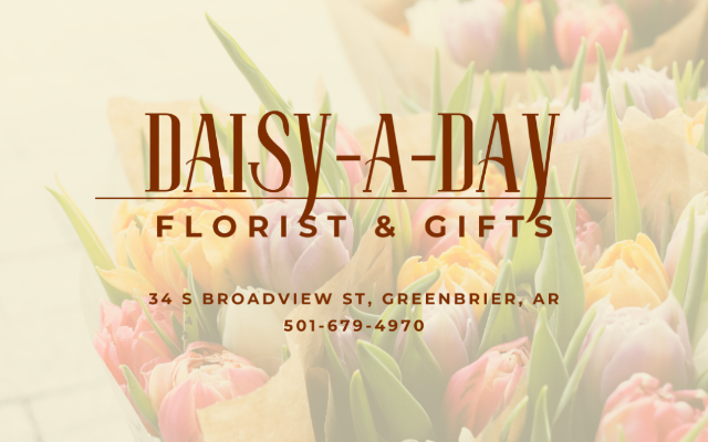 Daisy A Day Florist & Gifts