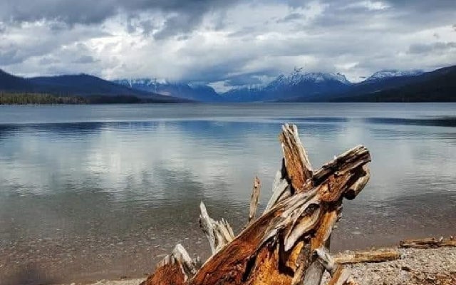 Montana Rustic Wood Burns