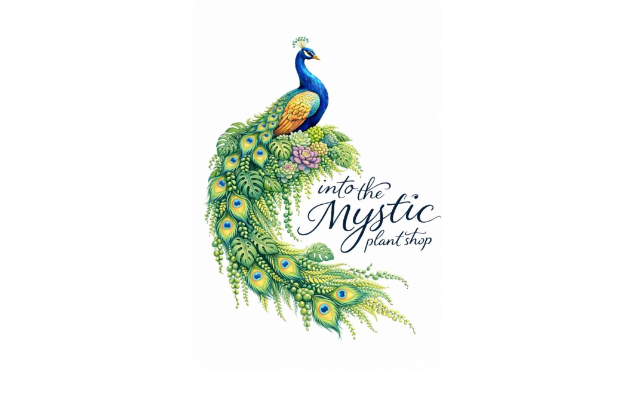 Into The Mystic Plant Shop