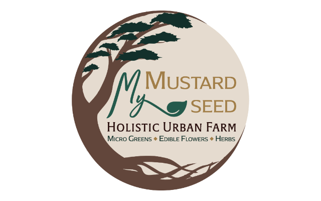 My Mustard Seed