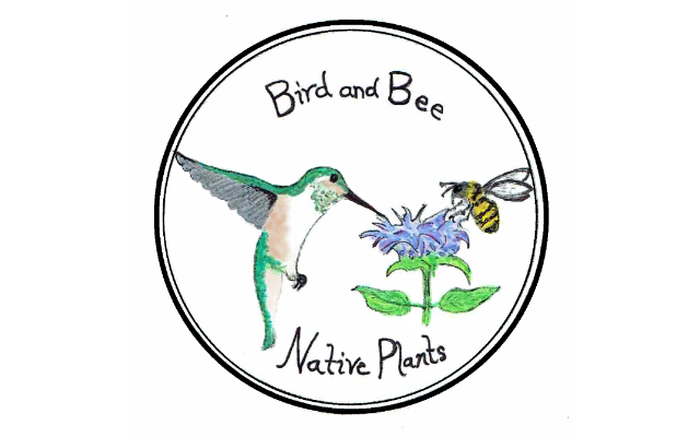 Bird and Bee Native Plants