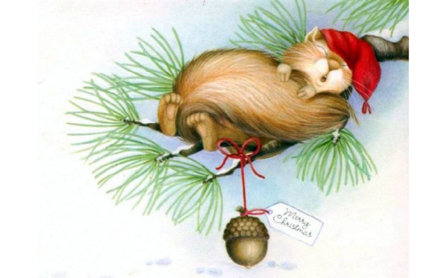 Gwyn Burns Licensed Massage Therapist