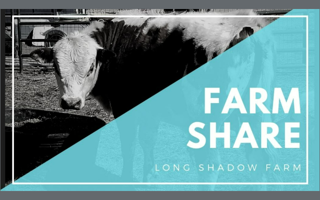 Long Shadow Farm