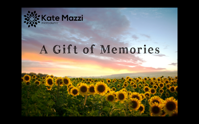 Kate Mazzi Photography