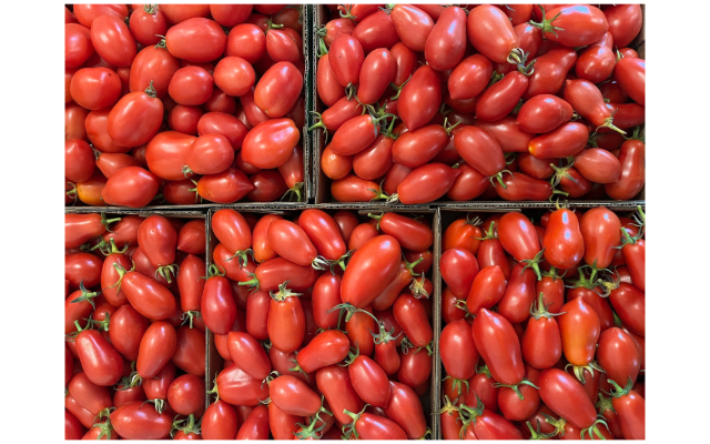 Pepper's Family Farm