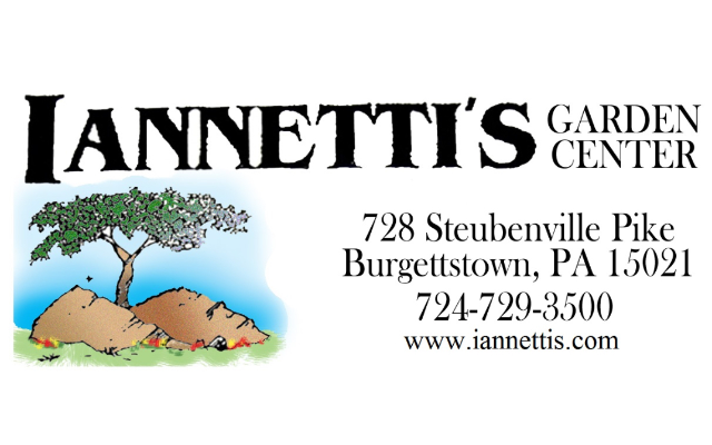 Iannetti's Garden Center