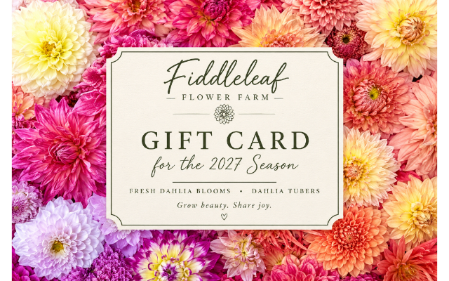Fiddleleaf Flower Farm