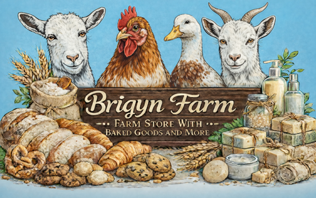 Brigyn Farm