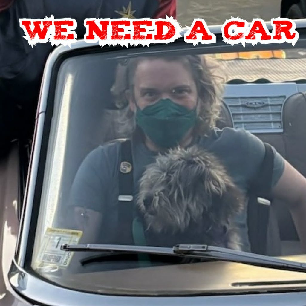 It's me and rufus in the passenger side of a parked car convertible with the top dow. i am wearing a green kn95 yet still obviously smiling. rufus is looking a little scruffy and sitting on my lap. we are in the family dollar parking lot at dusk,