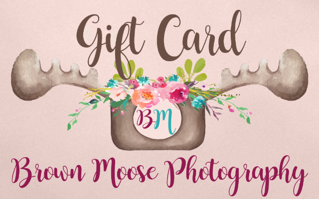 Brown Moose Design & Photography