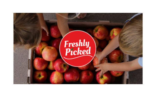 Freshly Picked Michigan Apples