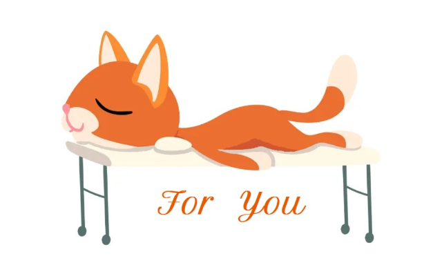 Massage Pain Relief Specialists ~ DottieLMT
