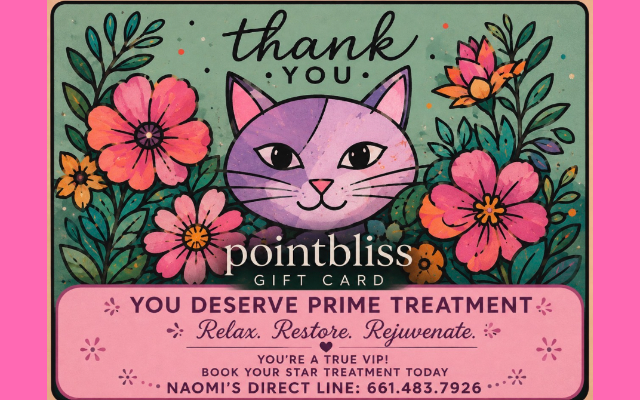 Point Bliss Holistic Bodywork and Massage