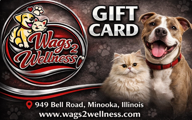 Wags 2 Wellness Low Cost Veterinary Care Center
