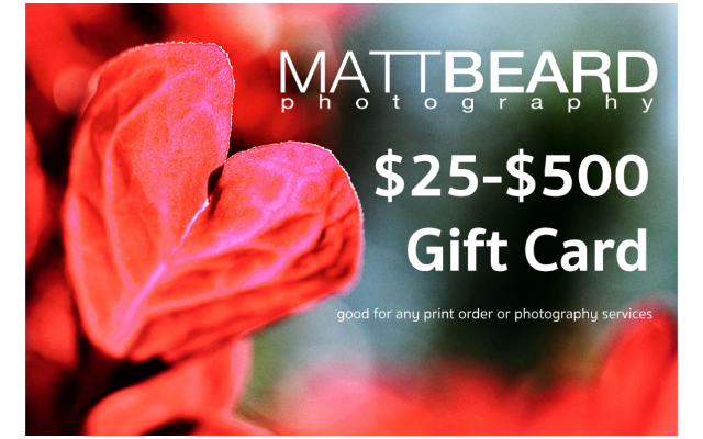 Matt Beard Photography, Inc.