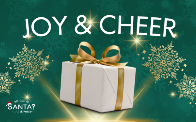 Cherry Hill Programs, Inc.