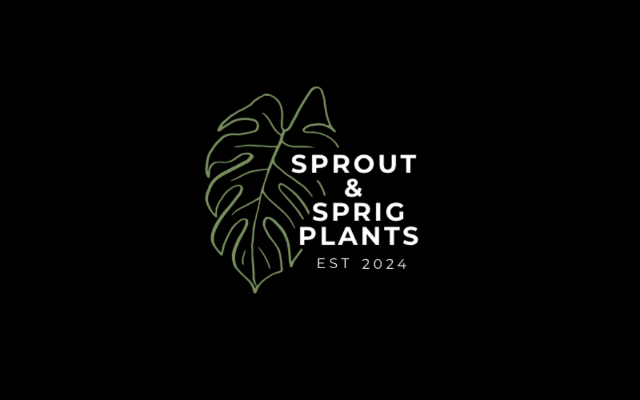 Sprout and Sprig Plants