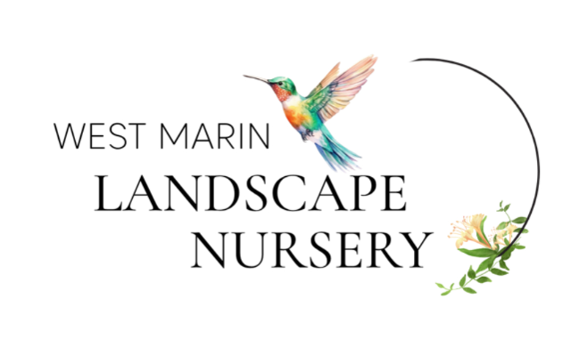 West Marin Landscape Nursery
