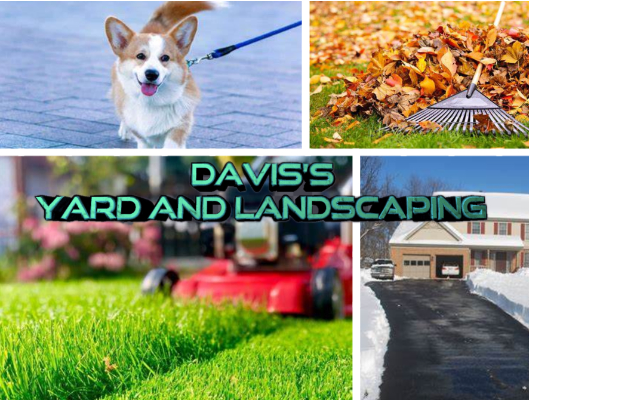 Davis's yard and Driveway cleanups
