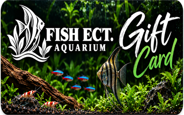 Fish Ect. Aquarium LLC