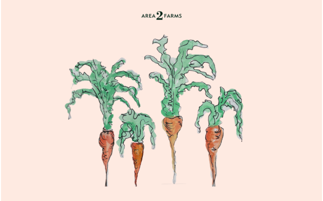 Area 2 Farms
