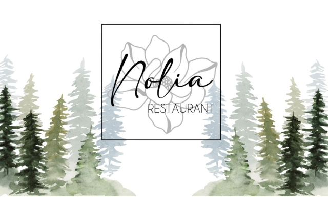 Nolia and the Plant Gallery