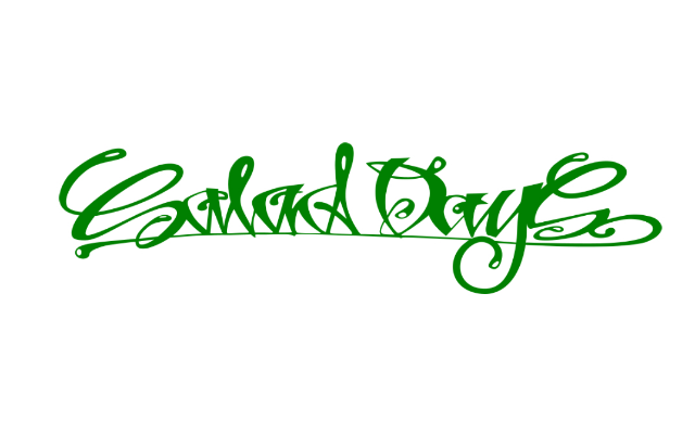 Salad Days Skateboard Co.