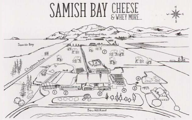 Samish Bay Cheese